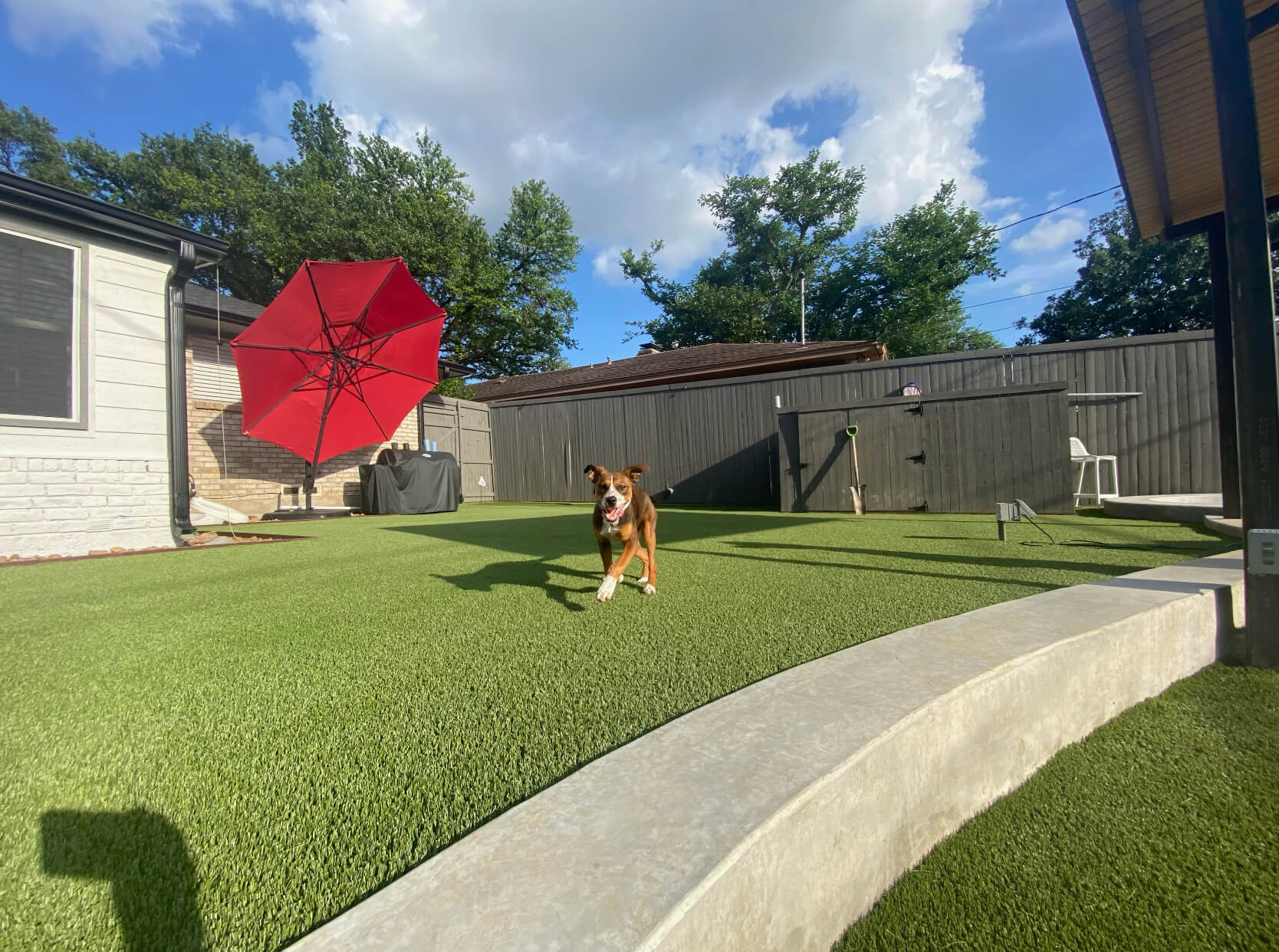 Pet Friendly Artificial Lawn in Rowlett, Texas